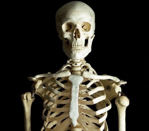 Bone Density illustration