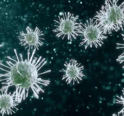 What Gets Us Sick illustration