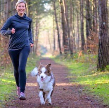 Stay Active illustration