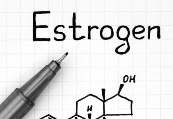 Increased Estrogen Production illustration