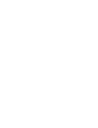 Devtrox Agency Logo who designed the Ivologist website