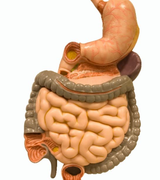 Increased Absorption illustration