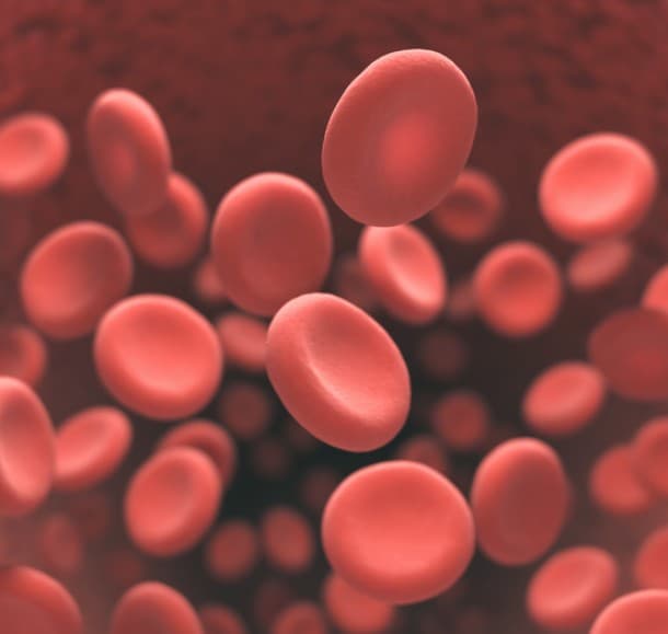 Enhanced Immune Cell Production illustration