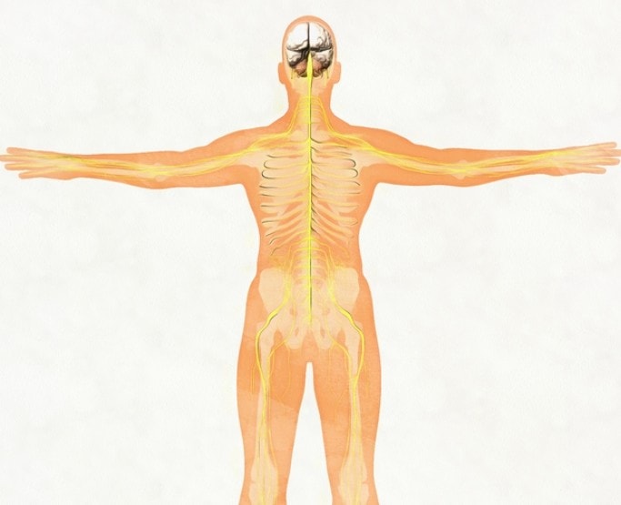 Enhanced Immune Response illustration