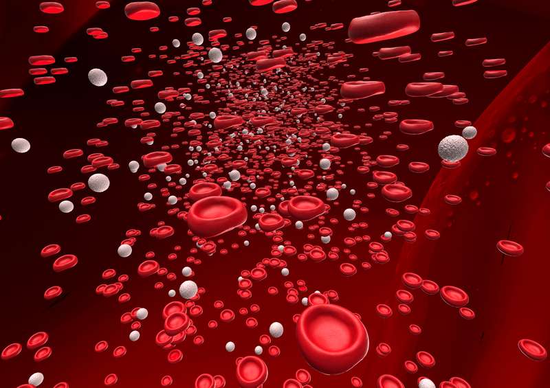 Red Blood Cell Production illustration