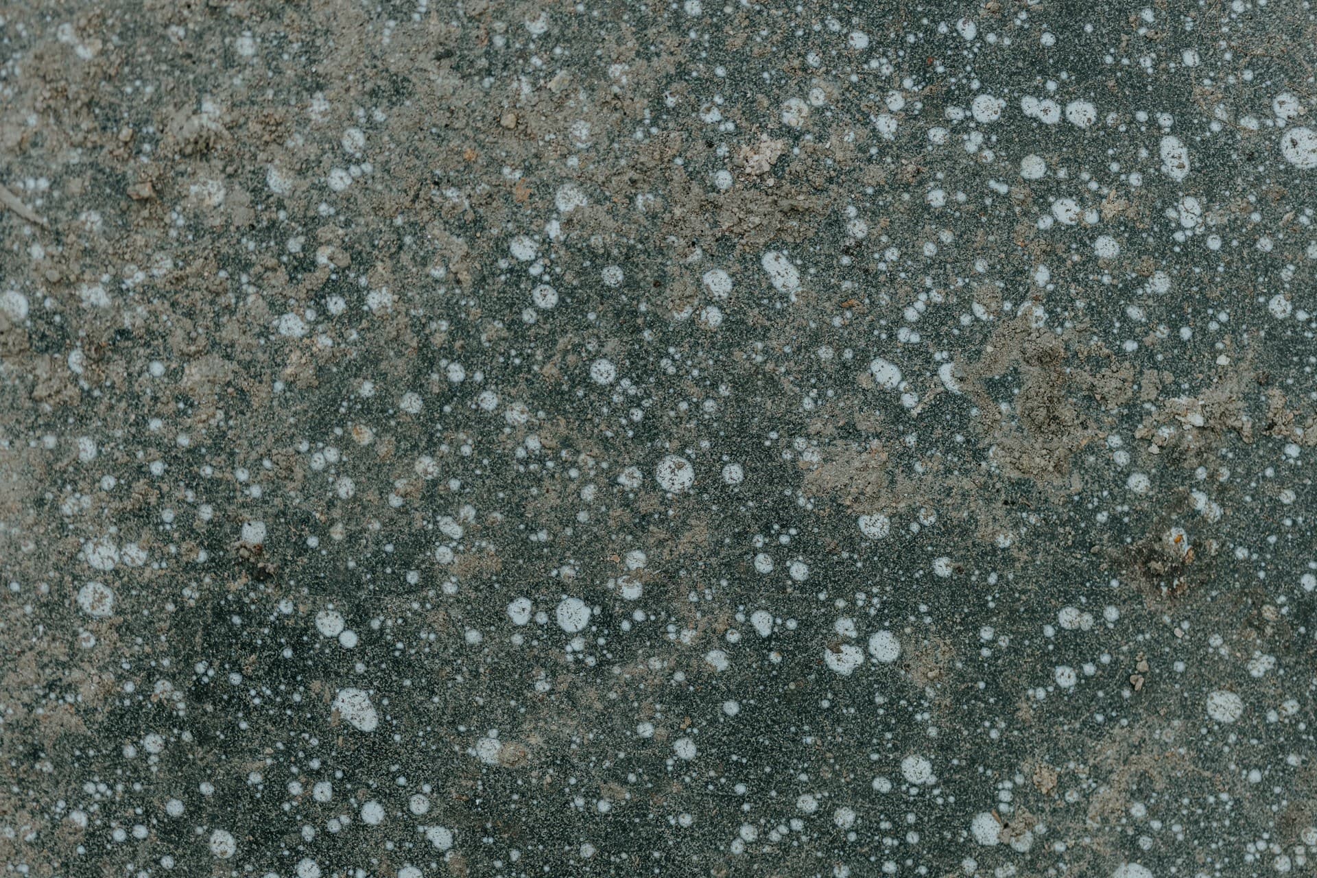 Why Fortnightly Is the Right Frequency illustration