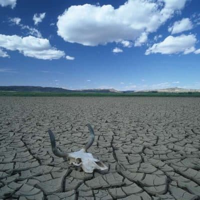 Deadly Texas Heat illustration