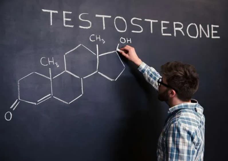What is Testosterone and Why Does it Matter? illustration
