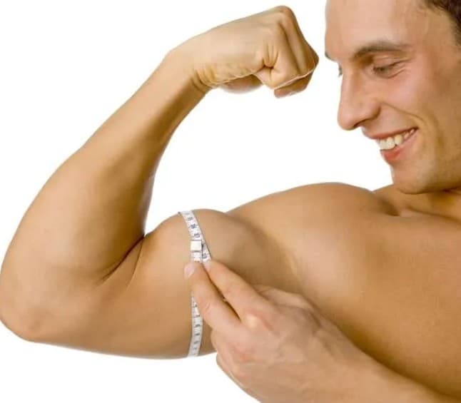 Timeline of Testosterone’s Effects illustration