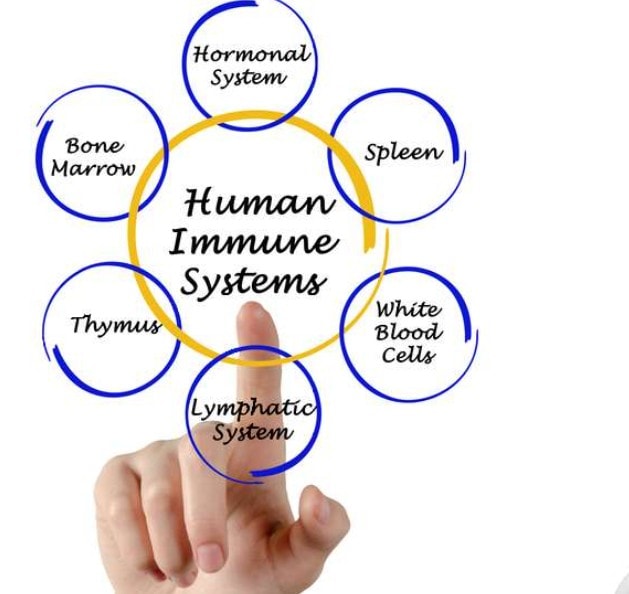 Strengthen Your Immune System with San Antonio IV Therapy illustration