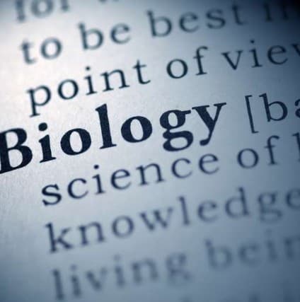 A Lesson In Biology illustration