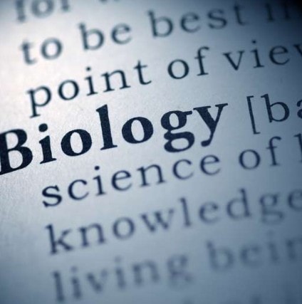 A Lesson In Biology illustration