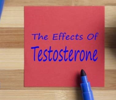 TRT Online illustration