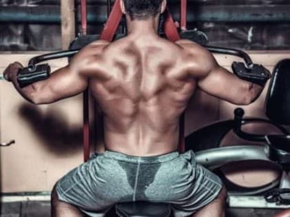 Myth: It’s is for Bodybuilders Only illustration