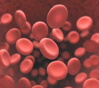 Enhanced Red Blood Cell Production illustration