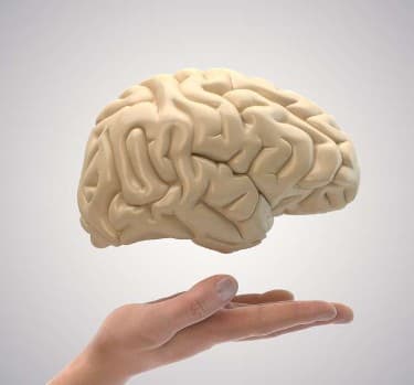 How Does Dehydration Affect The Brain? illustration