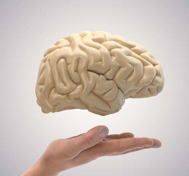 How Does Dehydration Affect The Brain? illustration