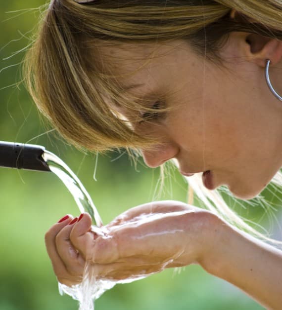 Stay Hydrated illustration