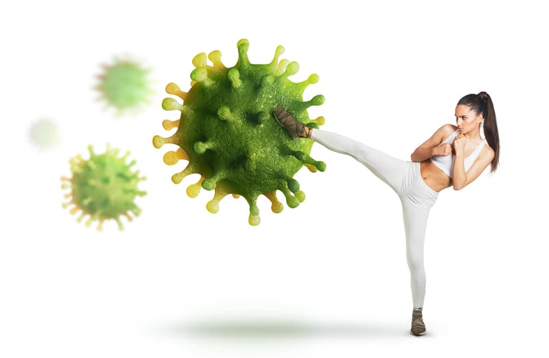 Immune Support illustration
