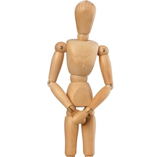 Reduced Testicle Size illustration