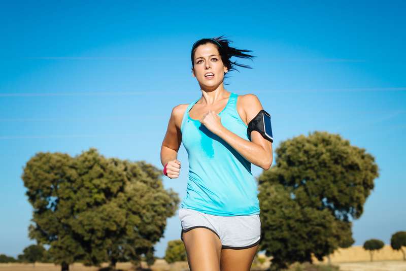 Interactive Resources and Tools illustration