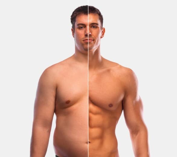 The Fat Vanisher Extraordinaire 🍔 illustration