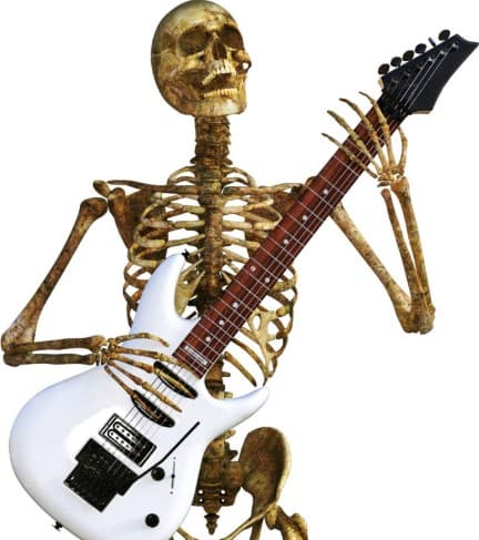 The Bone Builder 🦴 illustration