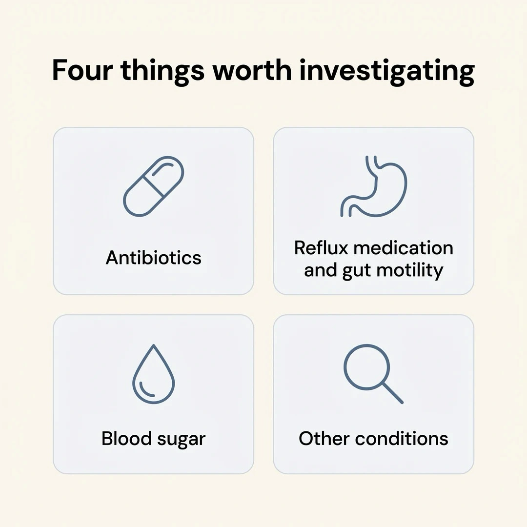 Diagram showing four factors worth investigating in persistent gut symptoms: antibiotics, proton pump inhibitors and motility, blood sugar, and other conditions.